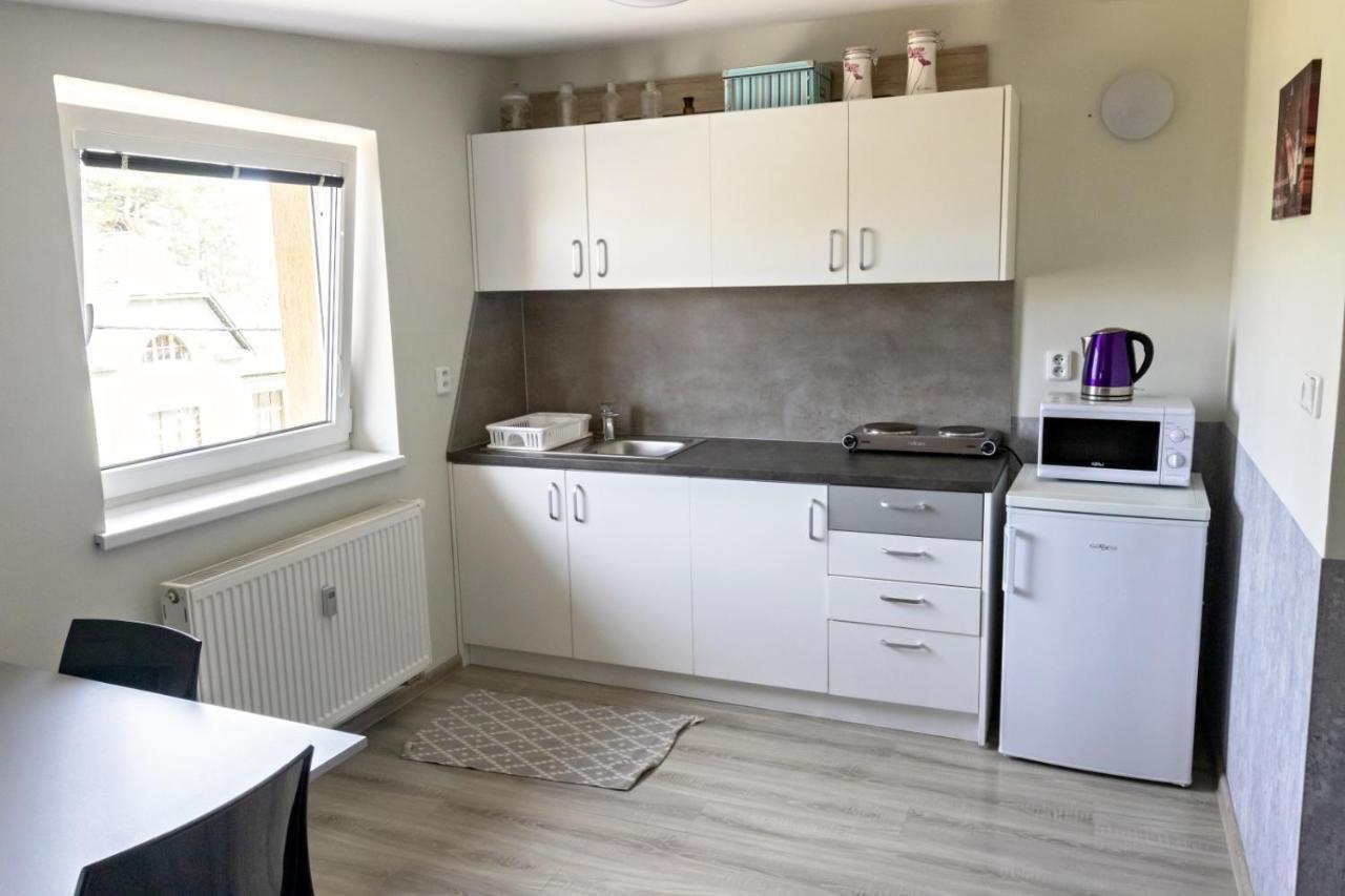 Apartman Theo Вельки-Славков Экстерьер фото