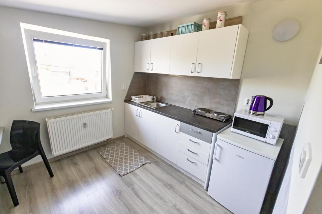 Apartman Theo Вельки-Славков Экстерьер фото
